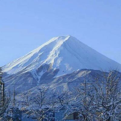 荒野行动uc版客户端下载